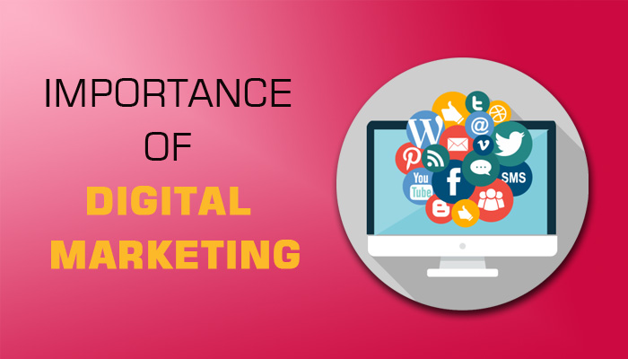 Importance of Digital Marketing | Dehradun School of Online Marketing