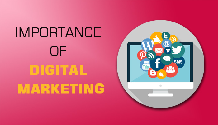 "importance of digital marketing,digital marketing,digital marketing services,digital marketing services in dehradun,digital marketing training in dehradun,digital marketing service,blog"